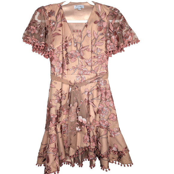 Two Sisters Pink Embroidered Floral Coquette Fairy Sheer Lace Ruffle Mini Dress - Picture 2 of 15